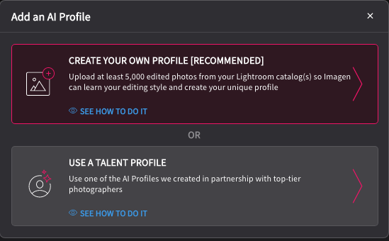 Screenshot of an AI Profile setup dialog with two options: creating a custom profile or using a talent profile.