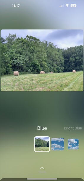 Rural landscape with hay bales in a mowed field bordered by dense green tree line under overcast sky.