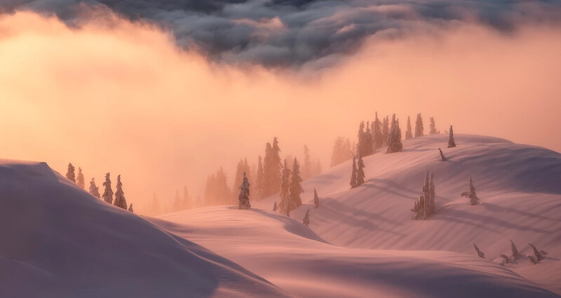 Rolling snow-covered hills with scattered evergreen trees under dramatic storm clouds and warm golden light.