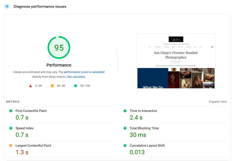 Screenshot of Google PageSpeed Insights performance diagnostic showing a score of 95 with metrics for page load speed and responsiveness.