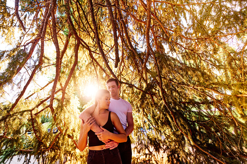 Couple posing under golden weeping willow branches with bright sunlight filtering through foliage.