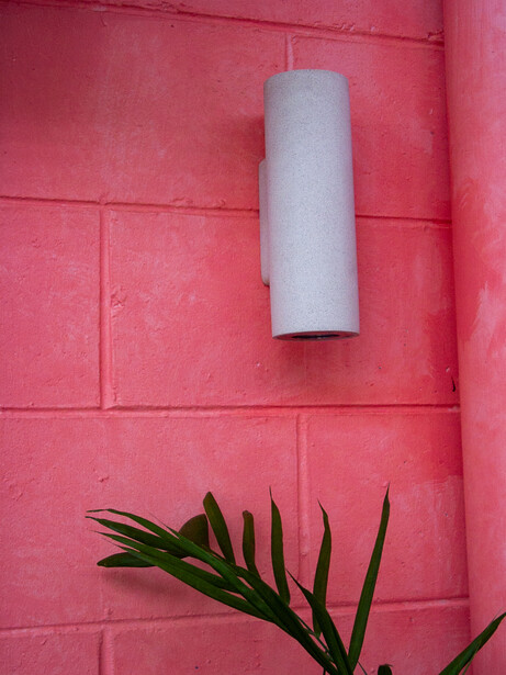 White cylindrical paper towel roll mounted on bright pink textured brick wall with green plant leaf below.