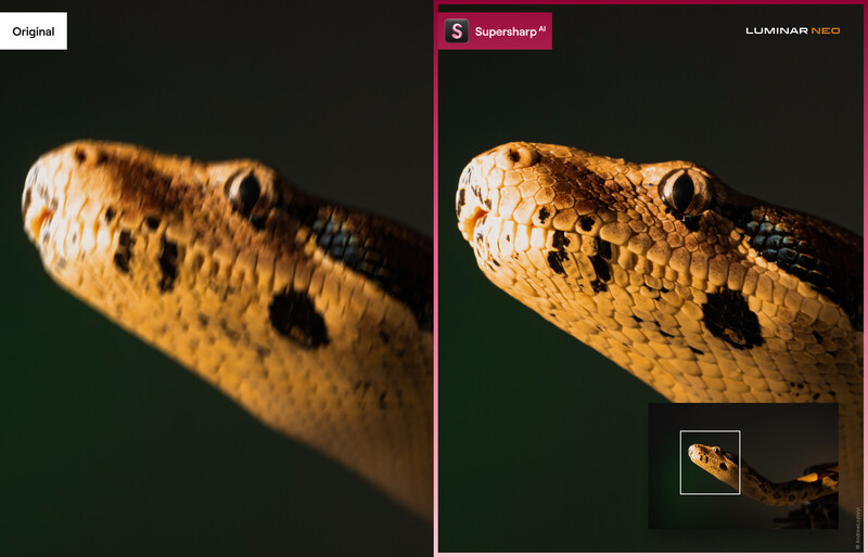 Close-up of a lizard's head showing scaled texture and eye detail, comparing original and sharpened versions.