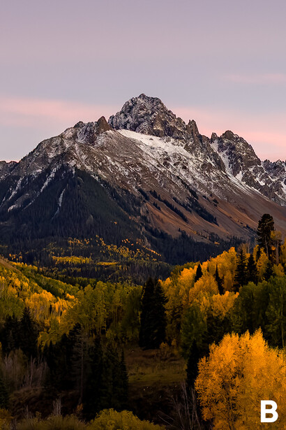 Snow-capped mountain peak with golden larch trees in foreground under twilight sky.