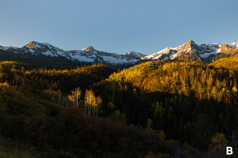 Snow-capped mountain peaks above a forested valley during golden hour, with golden larch trees in the foreground.
