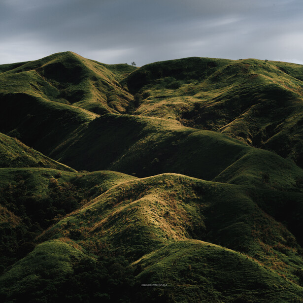 Rolling green hills with dramatic shadows and contoured ridges under overcast sky.