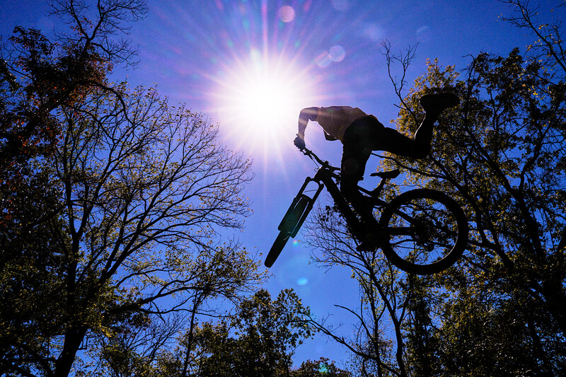 Mountain biker silhouetted against bright sun performing aerial trick among bare trees.