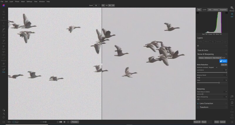Screenshot of photo editing software showing a flock of birds in flight with exposure and color adjustment panels visible.