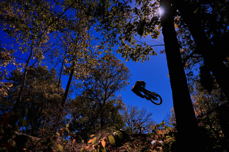 Mountain biker airborne against twilight sky framed by tall trees and autumn foliage.