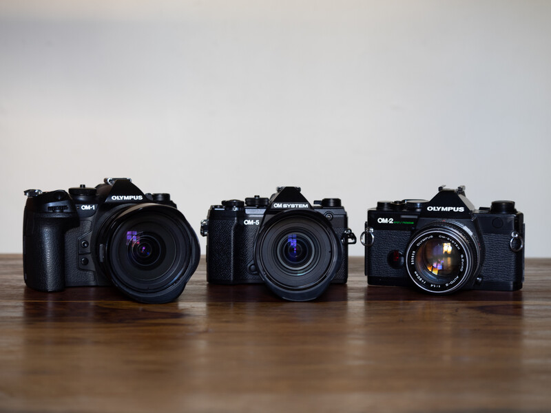 Three black Olympus DSLR cameras displayed side by side on a wooden surface.