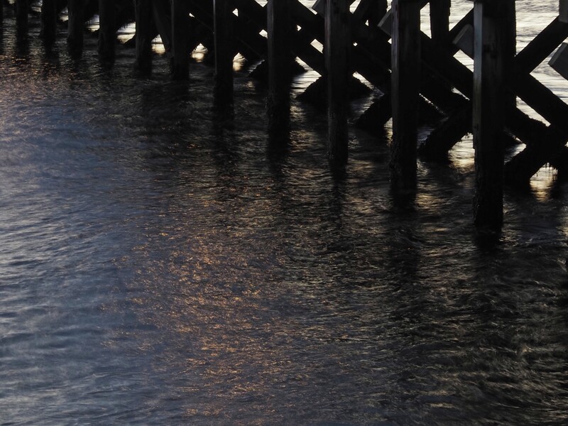 Wooden pier pilings silhouetted against rippling water under natural daylight.
