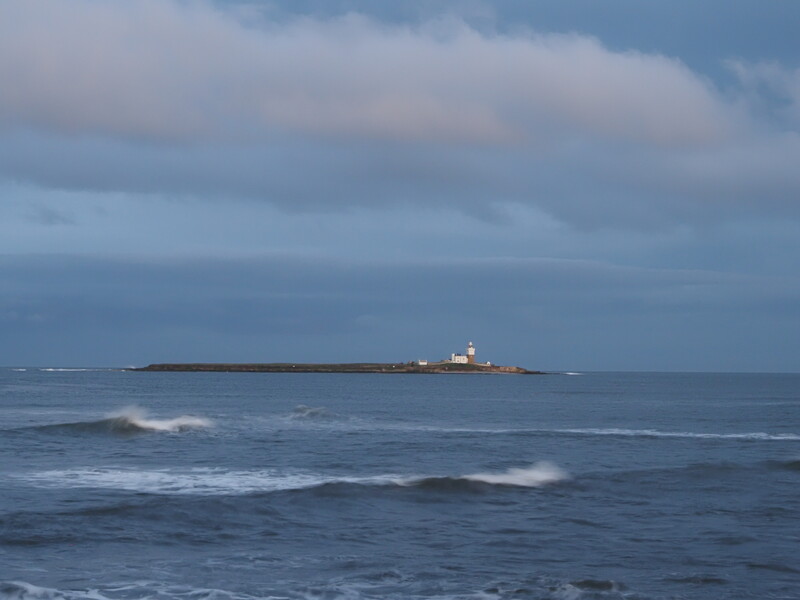 Cargo ship on the horizon viewed across choppy ocean waters under overcast sky.