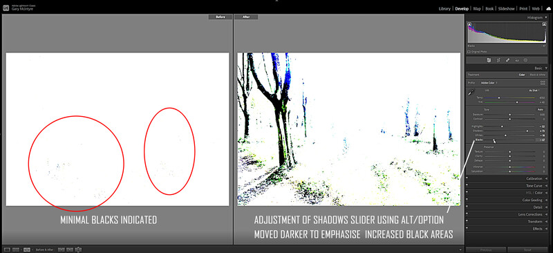 Screenshot of photo editing software showing shadows adjustment technique with before and after forest image comparison.