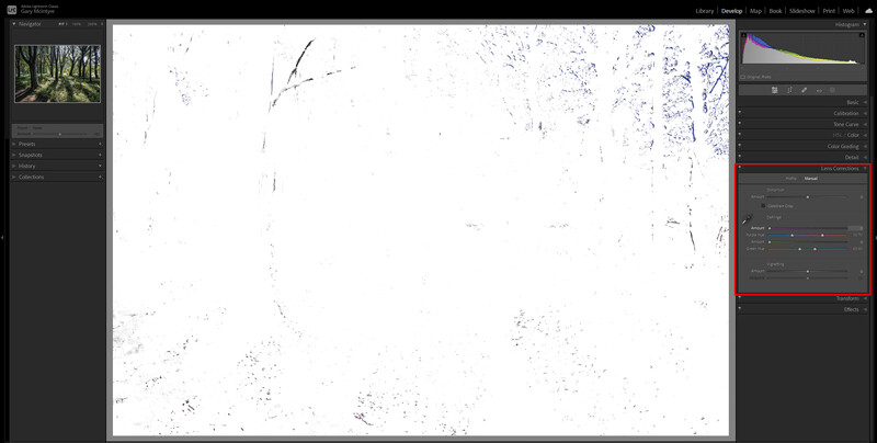 Screenshot of photo editing software showing a heavily processed forest image with extreme grain and noise artifacts.