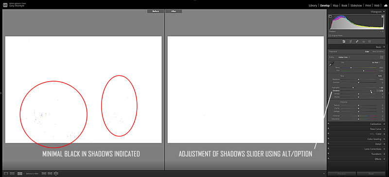 Screenshot showing two circles with red outlines comparing shadow adjustment techniques in photo editing software.