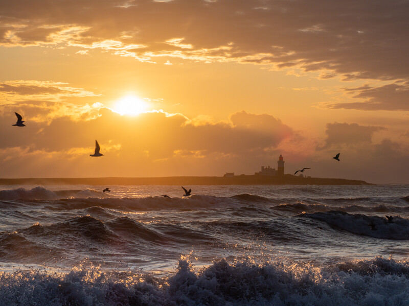Golden sunrise over ocean waves with silhouetted birds in flight and a distant lighthouse on the horizon.