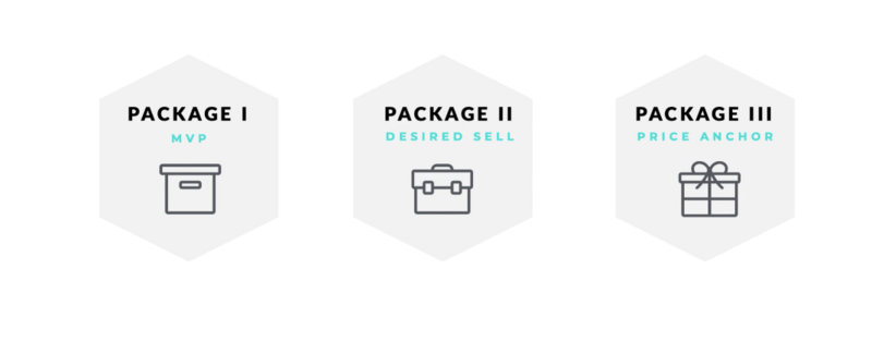 Graphic showing three service packages labeled MVP, Desired Sell, and Price Anchor with icons.