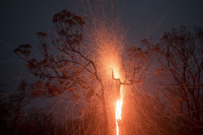 A vertical stream of bright orange and white light erupts upward through bare, reddish branches against a dark sky.