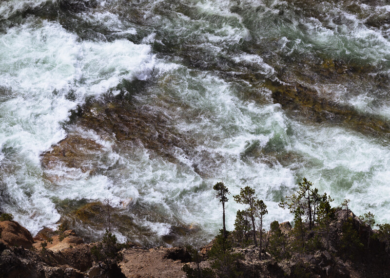 Tropical palm trees on a rocky cliff overlooking turbulent ocean waves with white foam.