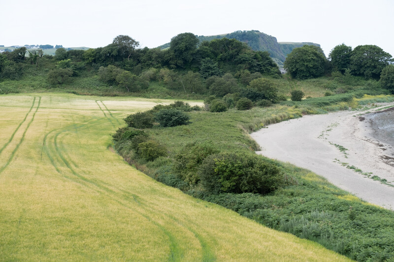 Rural landscape with curved crop rows, tree-lined riverbank, and forested hillside in background.