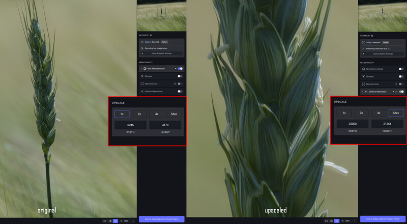 Screenshot comparing original and upscaled wheat grain detail with editing software panels visible.