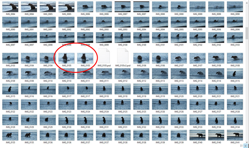 This is the sequence of the bear leaping into action and racing through the water. My favorite moment is the one that we will fix in this test.