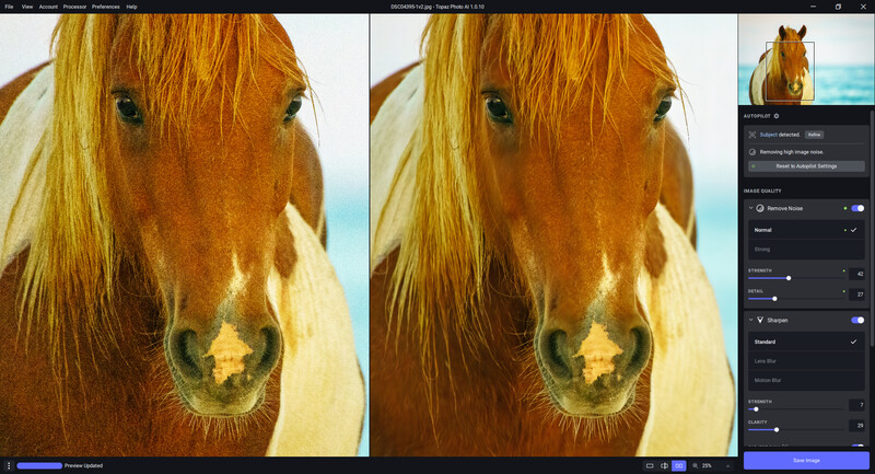 Close-up portrait of a chestnut horse with blonde mane against a blue ocean background.
