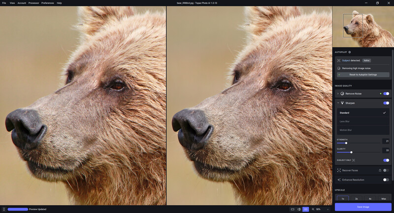 Close-up portrait of a brown bear's head against a neutral tan background, shown in before and after editing comparison.