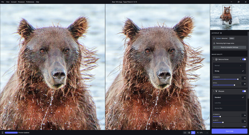 Brown bear's head emerging from water, wet fur glistening against blurred water background.
