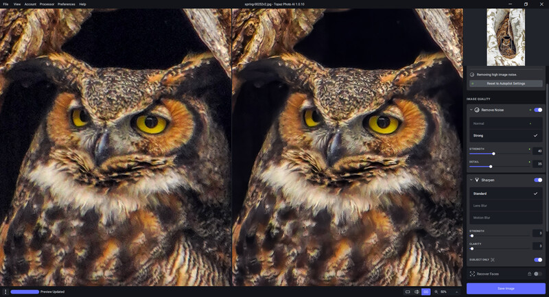Screenshot showing side-by-side comparison of owl portrait editing in photo software.