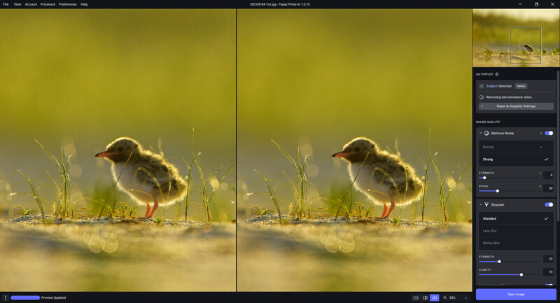 Screenshot of photo editing software showing before and after comparison of a chick in golden grass with adjustment controls visible.