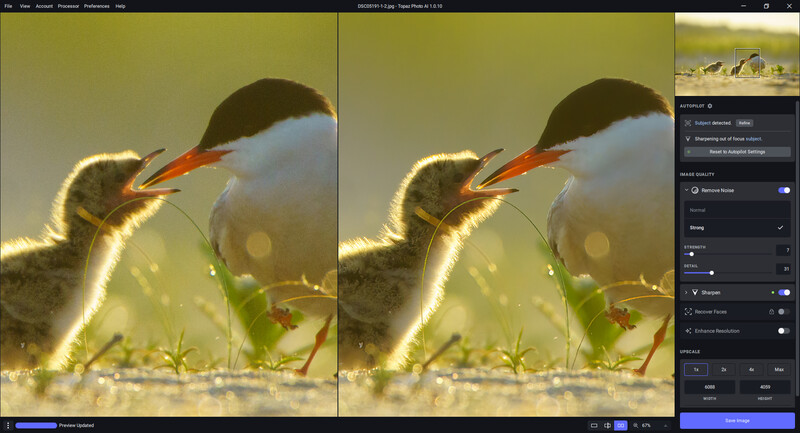Screenshot of photo editing software showing before and after comparison of a young bird with backlighting and adjustment panels visible.