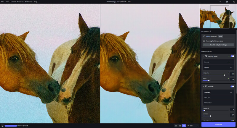 Screenshot showing side-by-side comparison of horse portraits with editing adjustments visible in control panel.