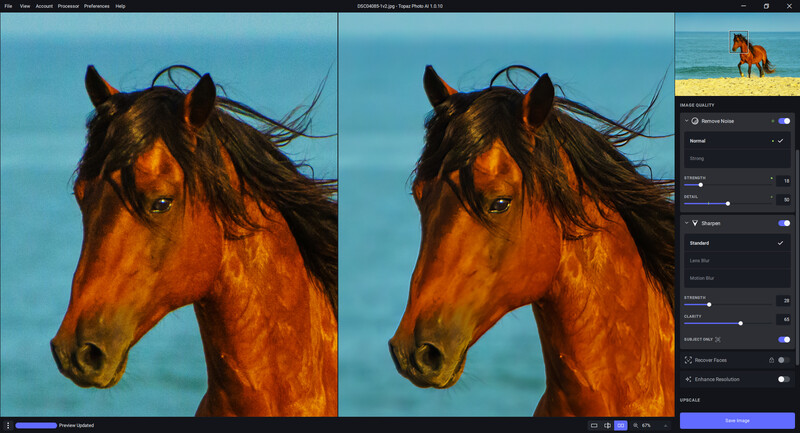 Screenshot of photo editing software showing before and after comparison of a bay horse's head against a blue sky.