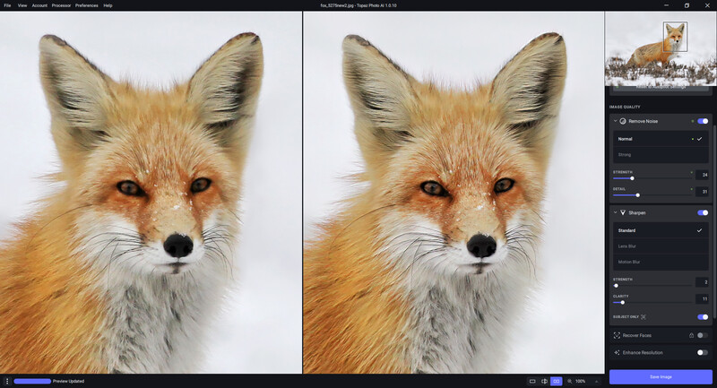 Red fox head portrait against white background, showing detailed facial features and ear structure.
