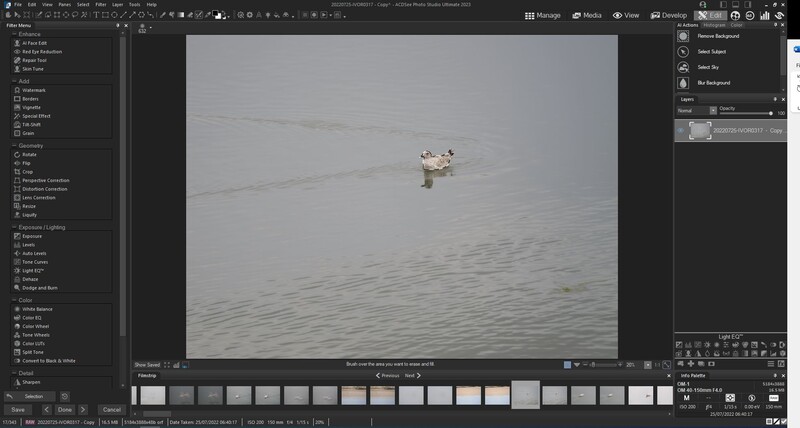 Screenshot of photo editing software showing a bird wading in shallow water with exposure histogram displayed.