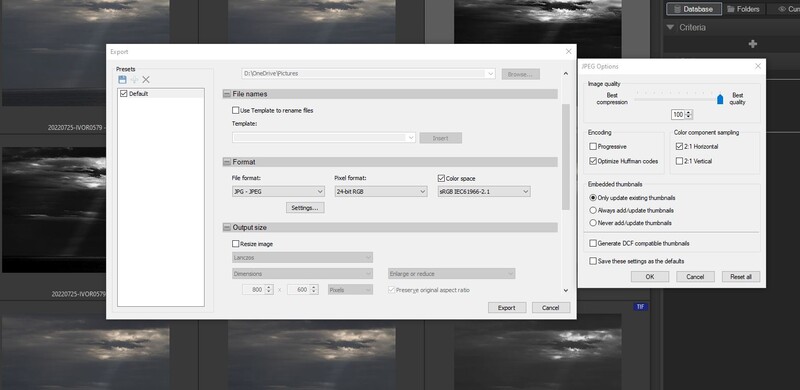 Screenshot of export dialog with image quality settings and file format options in photo editing software.