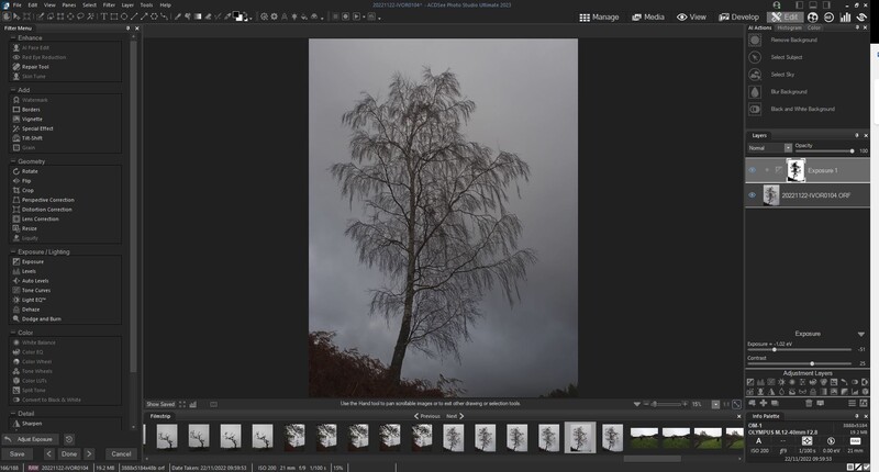 Screenshot of photo editing software displaying a tall coniferous tree in misty conditions with film strip of variations below.
