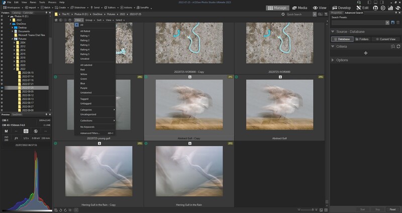 Screenshot of a photo editing workflow showing image comparisons and adjustments in a desktop application interface.