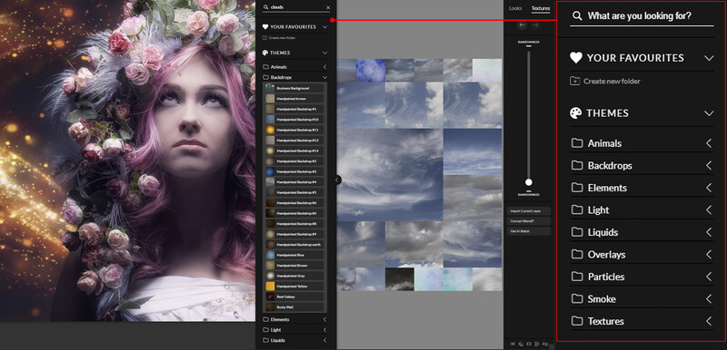 Screenshot of digital asset management software showing cloud image library and editing interface.