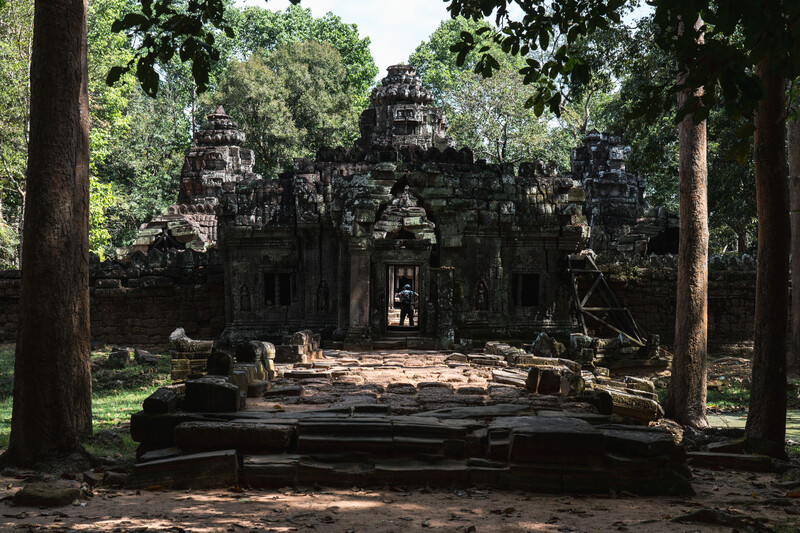 Ancient stone temple ruins framed by tall trees in dense forest, viewed through natural corridor.