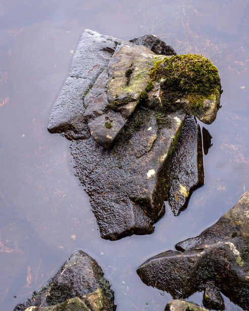 Moss-covered rock partially submerged in shallow water with surrounding stones visible below the surface.