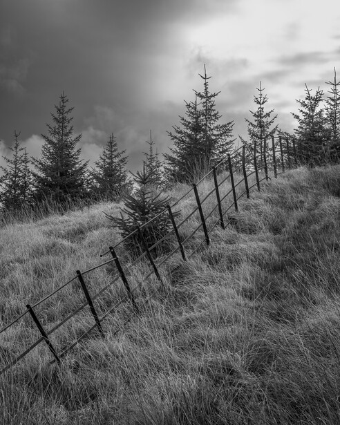 Wooden fence line running diagonally across a grassy hillside with coniferous trees and stormy sky.