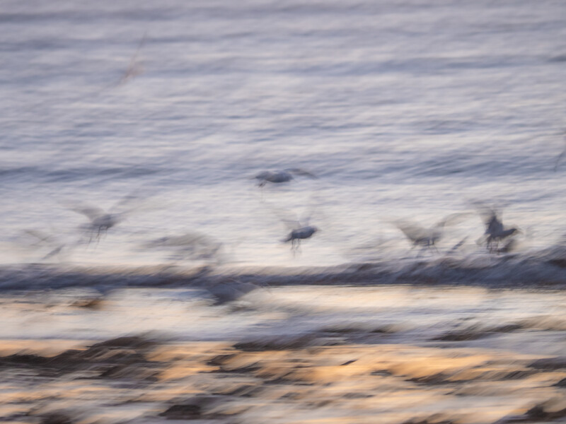 Ocean waves with motion blur effect, showing layered water movement and sandy beach at sunset or golden hour.