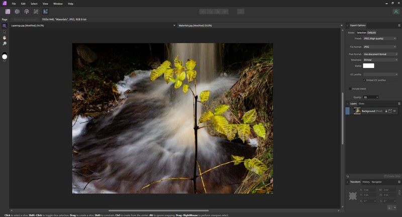 Fast-moving stream with yellow flowers blooming on branches framing both sides of the water.