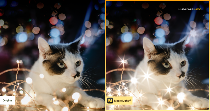 Black and white cat surrounded by warm bokeh lights, with comparison showing enhanced star-burst light effects.