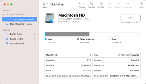 Screenshot of macOS Disk Utility showing Macintosh HD storage breakdown with 1TB capacity.