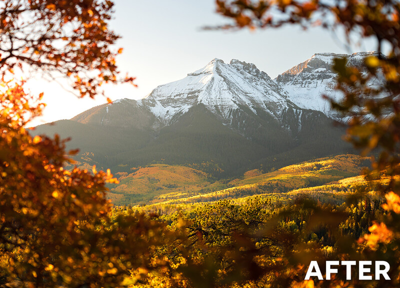 Snow-capped mountain peak framed by golden autumn foliage in foreground.