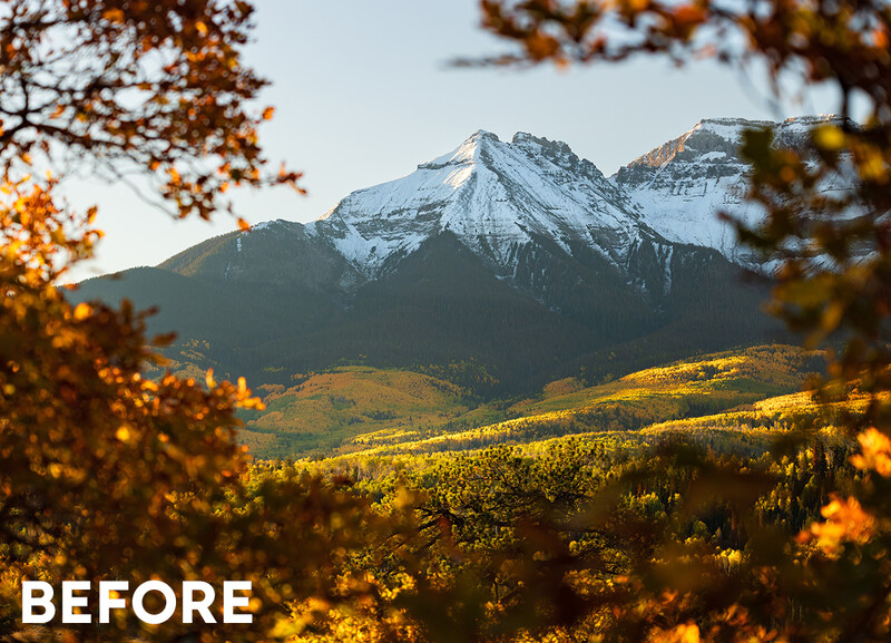 Snow-capped mountain peak framed by golden autumn foliage in foreground.
