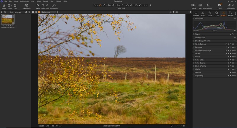 Rural landscape with golden autumn foliage in foreground and plowed field with fence posts under overcast sky.